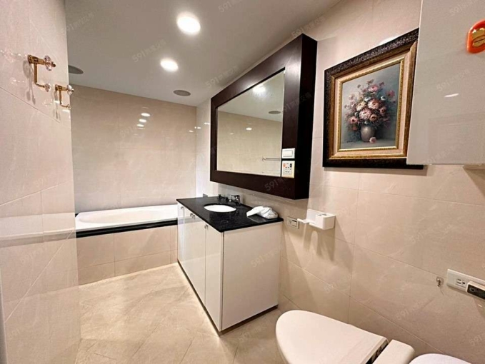 @@忠孝敦化捷運商圈旁*高樓樹景明亮美2房（第7張）