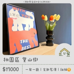 近小檜溪|全新三間房型釋出|一房一廳&大套房|租補🉑 - Image 15