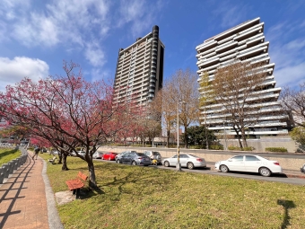 榮總靜巷安靜大套房（第7張）