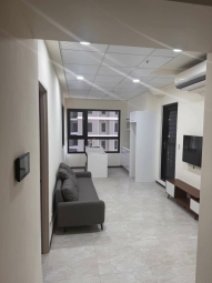 安平區-愛琴海-2大房-全新家具電-可租補-可寵（第2張）