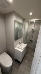 民生新埔 全新套房 大陽台（第5張）