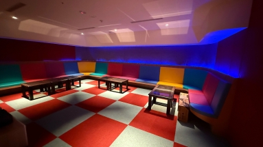 民生新埔 全新套房 大陽台（第13張）