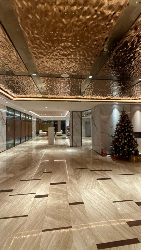 民生新埔 全新套房 大陽台（第7張）