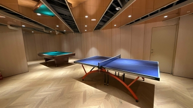 民生新埔 全新套房 大陽台（第11張）