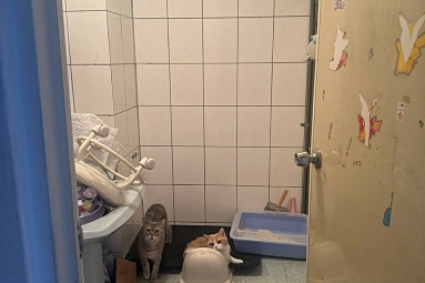 兆基社會住宅🏡楊梅興達大鎮三房/可租金補貼（第10張）