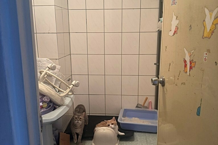 兆基社會住宅🏡楊梅興達大鎮三房/可租金補貼（第10張）