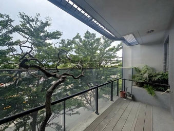 含稅可寵台元三改二房*獅子王 - Image 18