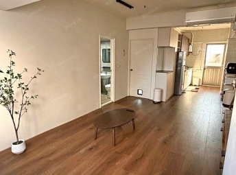 內新商圈🩵可貓可租補🩷質感兩房🩵可租汽車🩷台水台電（第3張）