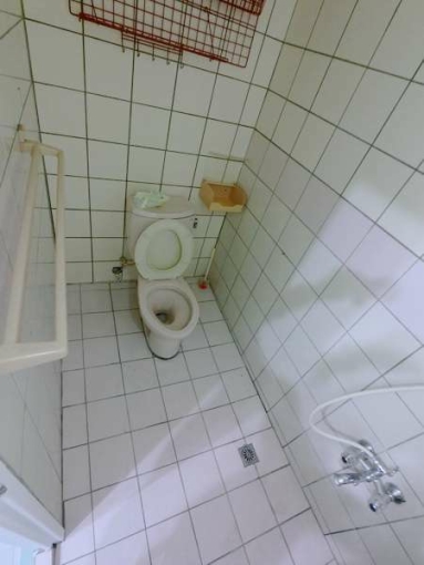 🧡加賴約🧡電梯美屋🧡租屋補助🧡陽台獨洗🧡（第4張）