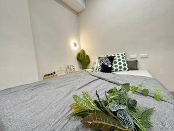 近體大一中中友全新裝潢未住獨洗曬超優套房（第4張）