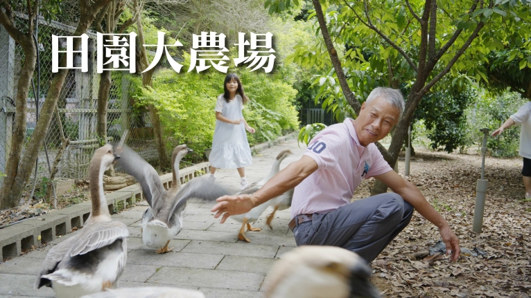 【好所在】新竹峨眉湖畔|一戶附設一田地|田園退休月租宅|多元公共設施(第8張)