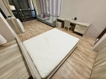 🌳可租補💖電梯✨一房廳🏠力行國小💖可貓（第2張）