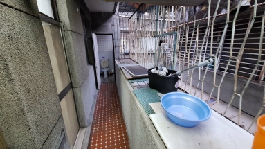 臨近永和四號公園可寵物（第3張）