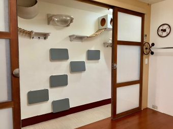 自租靜宜沙鹿2房1廳(可雙租補、可貓) - Image 18