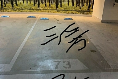 兆基社會住宅🏡A18高鐵首排喜徠登漂亮三房車/可租補免仲（第9張）