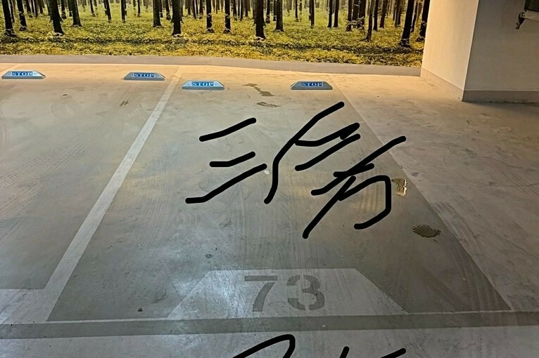 兆基社會住宅🏡A18高鐵首排喜徠登漂亮三房車/可租補免仲（第9張）