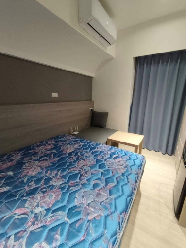 珍珠奶茶不要珍珠✨陽台獨洗✨可租補💕近科博館 漢口商圈⚡宇你相見（第5張）