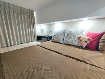 2/15前享優惠🍍捷運江子翠站全新首租宅🍍租好宅好運旺旺來（第8張）