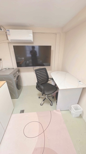 中西區｜全新裝修｜可寵可租補｜獨立洗脫烘+車位｜近武聖夜市（第8張）