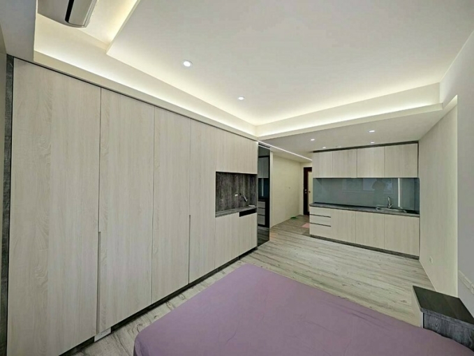 近車站全新裝潢獨立套房含管*獅子王（第3張）