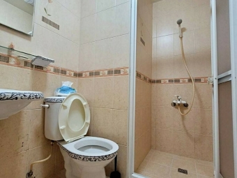 台大商務獨立套房*獅子王（第3張）