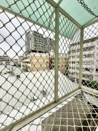 獨洗獨曬🍀可租屋補助🍀稀有可貓（第8張）