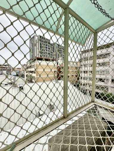 獨洗獨曬🍀可租屋補助🍀稀有可貓（第8張）