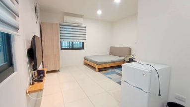 中央公園旁大大套房出租 - Image 8