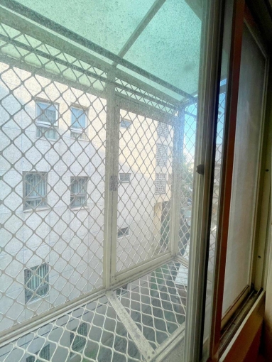 獨洗獨曬🍊租屋補助🍊稀有可貓🍊飲水機（第7張）