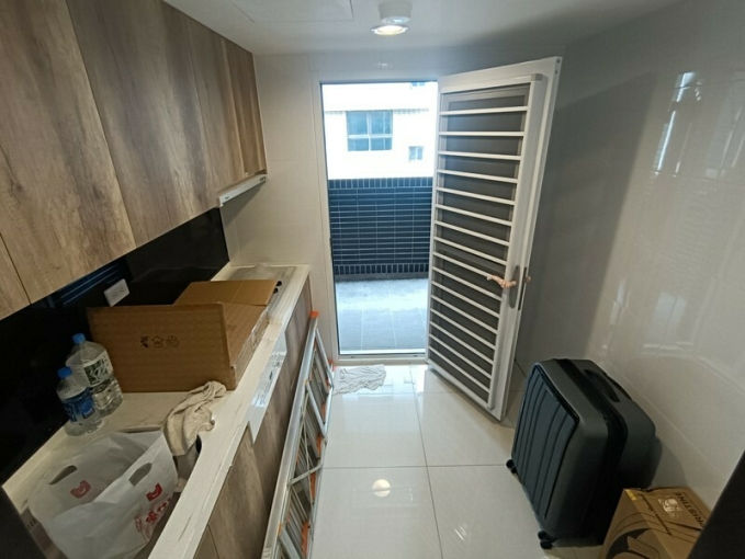 (可寵)高鐵優創客次頂樓2房2衛*獅子王（第4張）