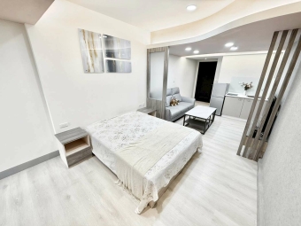 近逢甲💕大坪數屋況佳💕租補✔管理員代收💕獨洗曬💕可貓（第13張）