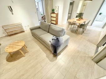 廷選好屋✨西屯稀有四房|家具電齊全|可另租平面車位 - Image 16