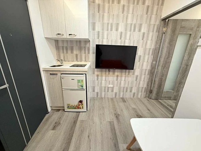 沛沛租🔅全新大業一房一廳可補助可貓（第3張）