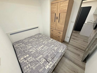 沛沛租🔅全新大業一房一廳可補助可貓（第8張）