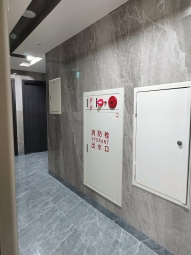 💖江子翠捷運兩分鐘首租電梯大樓美屋💖（第11張）