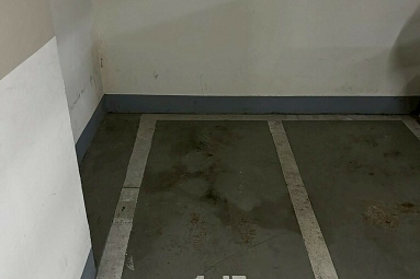 兆基社會住宅🏠和耀真諦日月光兩房車/可租補（第15張）