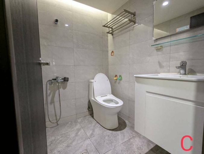 綠園道旁｜高樓層景觀電梯套房｜獨洗曬｜可租補（第3張）