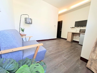 1房1廳大空間採光客廳☆雙衛浴☆陽台☆機車位子母車 - Image 21