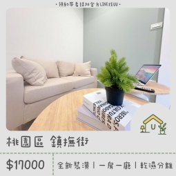 近桃園火車站|全新裝潢|一房一廳|乾濕分離|獨洗獨曬 - Image 8