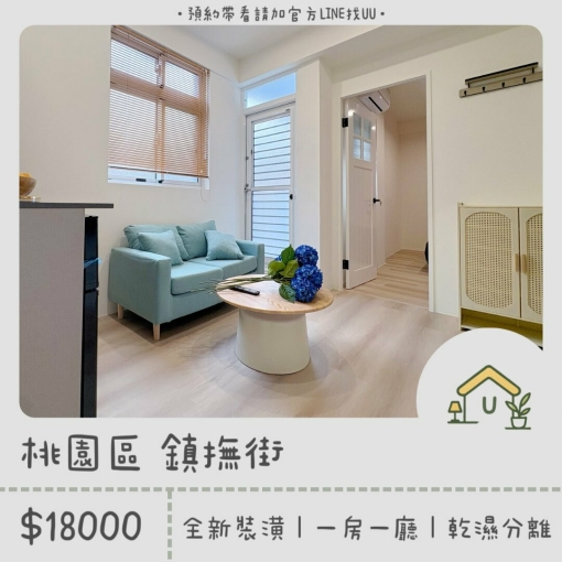 近桃園火車站|全新裝潢|一房一廳|乾濕分離|獨洗獨曬(第1張)