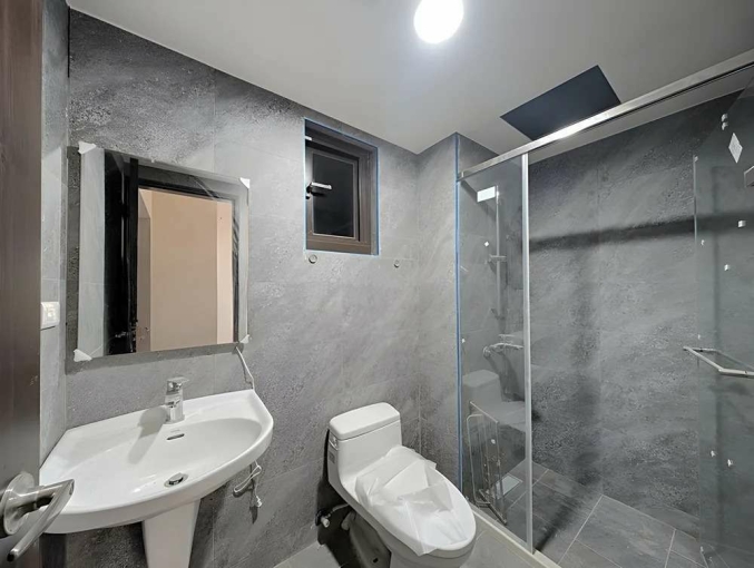 (可貓、可租補)富來大郡三房平車露臺戶*獅子王（第10張）