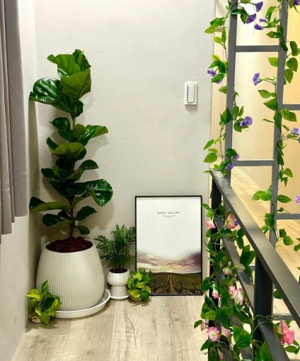 小資首選🌸可租補🔆共洗曬📍逢甲赤鬼（第11張）