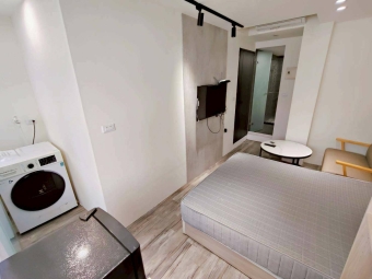 南區興大/可小乖寵/陽台獨洗曬/精裝套房 /可雙租補 /二間可選（第4張）