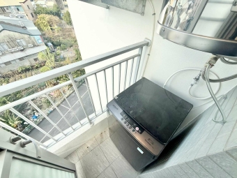 🌳可雙租補💖可貓✨全新🏠採光通風✔️汽車位可租💖（第9張）