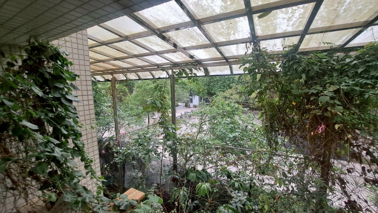 捷運區公所儷景一樓挑高大空間大庭院 休閒養生(第14張)