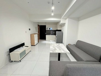 三多商圈|全新1+1房可租補.雙衛浴🤍含管含平車（第2張）