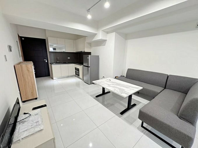 三多商圈|全新1+1房可租補.雙衛浴🤍含管含平車（第12張）