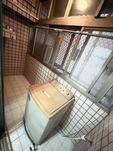 秒殺台水台電✨可貓貓✨陽台獨洗曬(第4張)