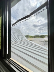 🌳可租補💖大大間✨有獨洗🏠乾溼分離✔️稀有釋出💖 - Image 12