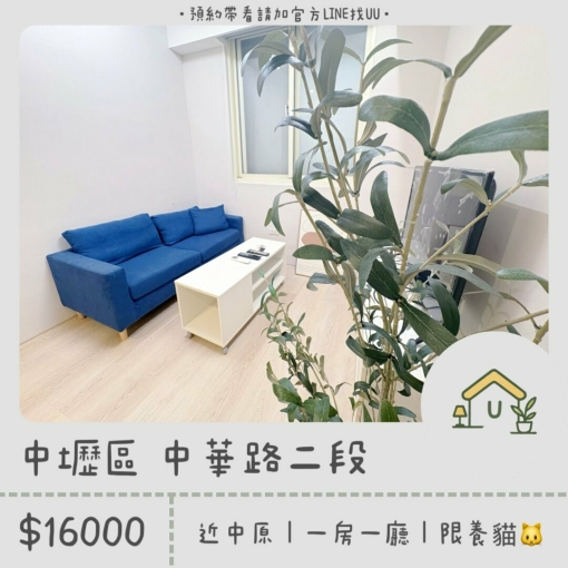 近中原|限養貓🐱|絕美一房一廳🎀|乾濕分離|獨洗獨曬(第1張)